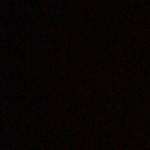 Meet your Posher, Kelsie